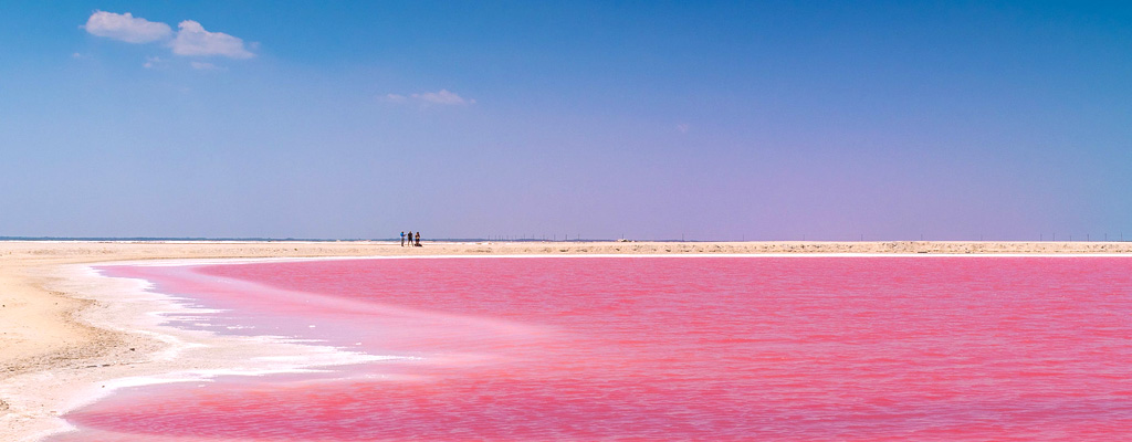 Pink Waters of Las Coloradas in Yucatan