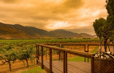 Valle de Guadalupe in Baja California