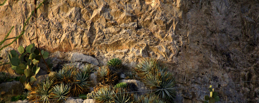 Cañón de Fernández State Park, Durango's Desert Garden