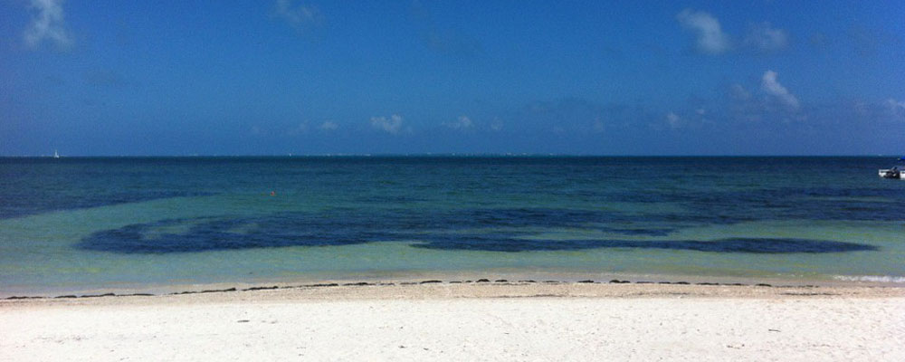 Playa Langosta, Cancún’s Family Beach Perfect for Children 02