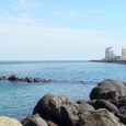 The Port of Veracruz, a classic for all travelers